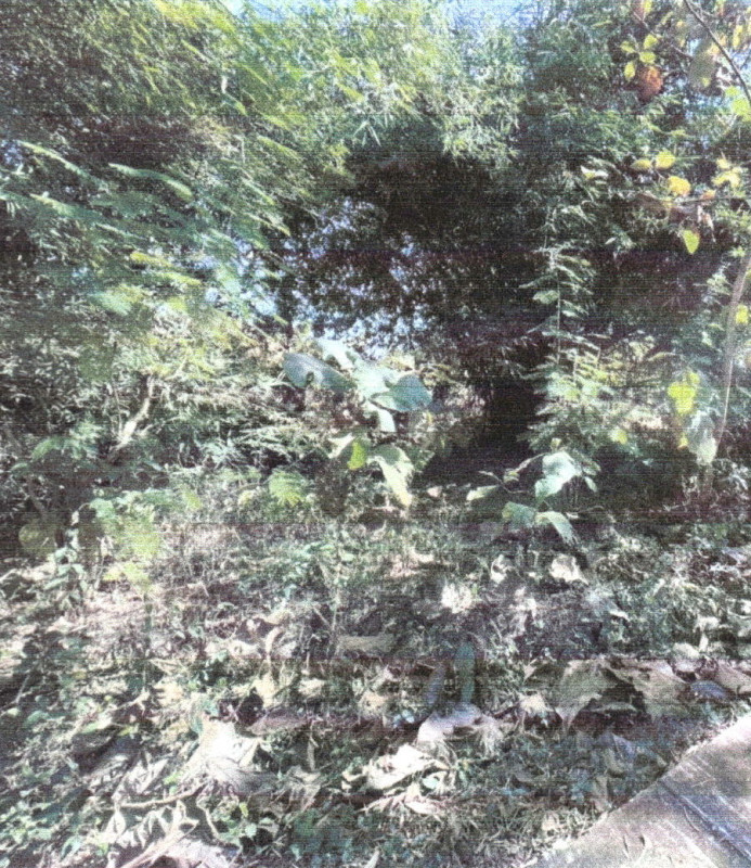 Residential land/lot Uttaradit Mueang Uttaradit Tha Sao 48800