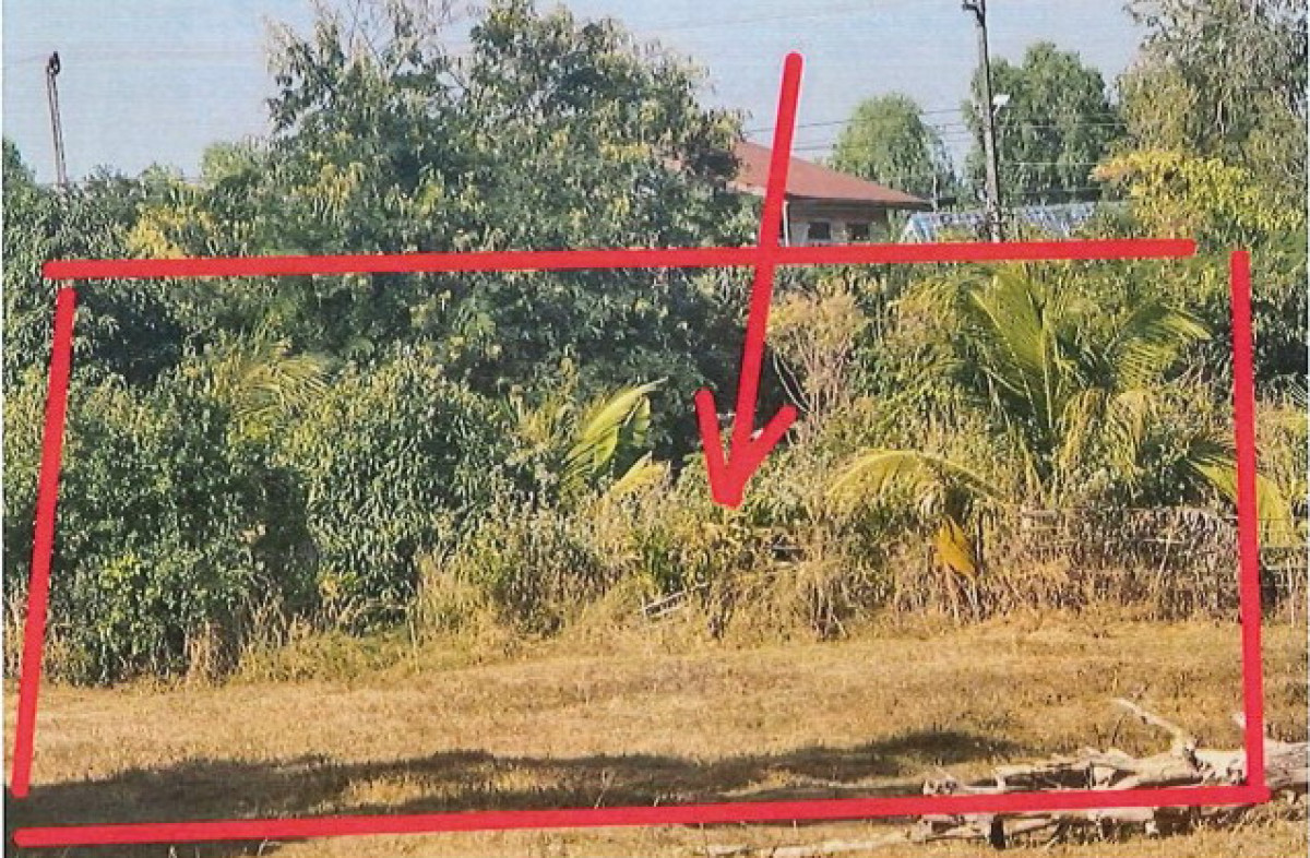 Residential land/lot Nong Khai Mueang Nong Khai Hat Kham 80750