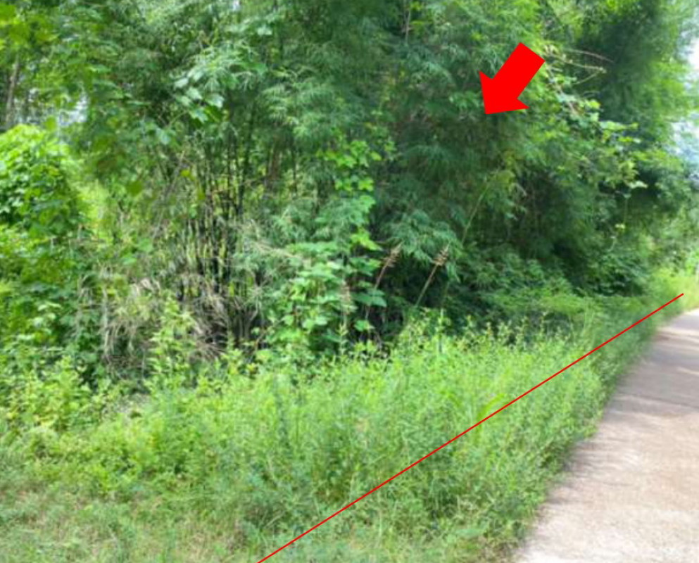 Residential land/lot Sakon Nakhon Kusuman Na Phiang 147560