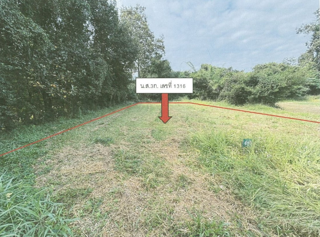 Residential land/lot Chiang Mai Doi Saket Pa Pong 342000