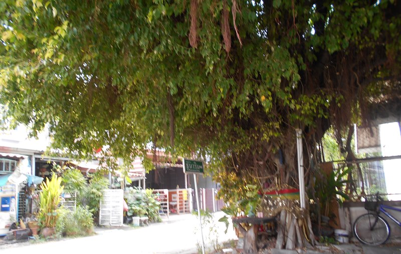 ทาวน์เฮ้าส์ ธนาริน ปทุมธานี ลำลูกกา ลาดสวาย 1313000