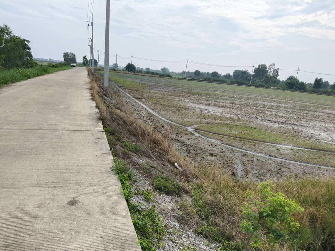 Residential land/lot Phra Nakhon Si Ayutthaya Bang Sai Bang Yitho 5705000