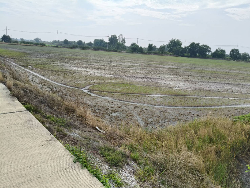 Residential land/lot Phra Nakhon Si Ayutthaya Bang Sai Bang Yitho 5705000