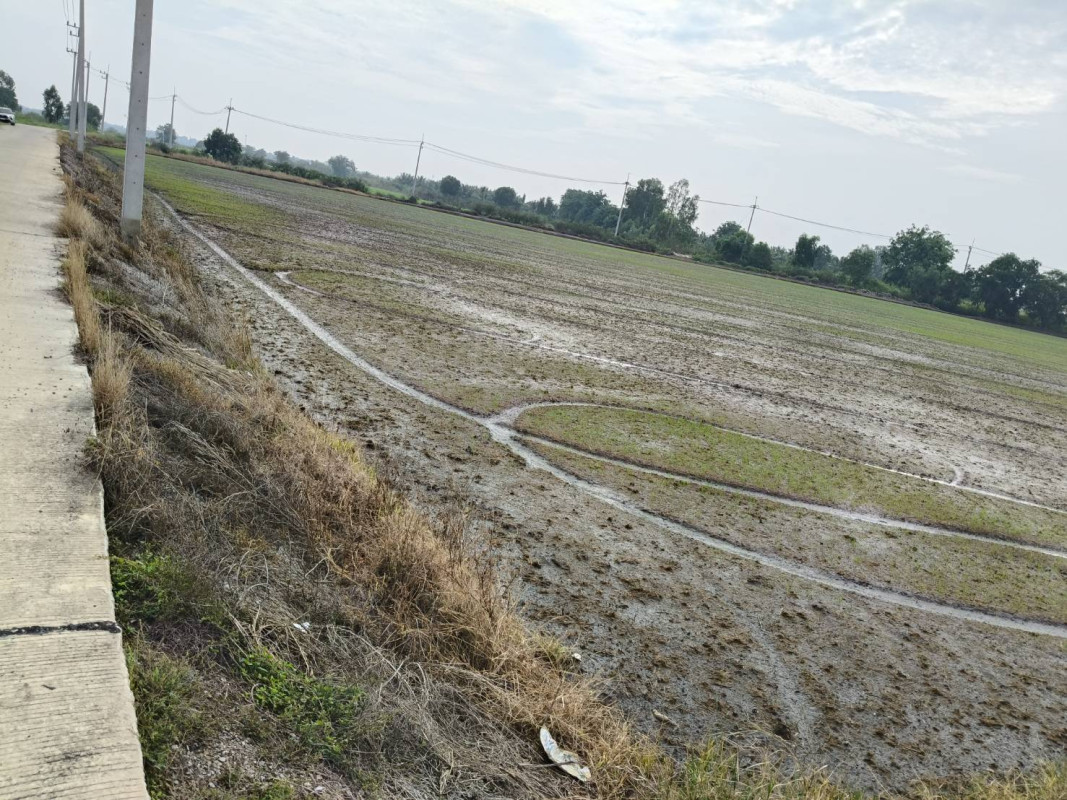 Residential land/lot Phra Nakhon Si Ayutthaya Bang Sai Bang Yitho 5705000