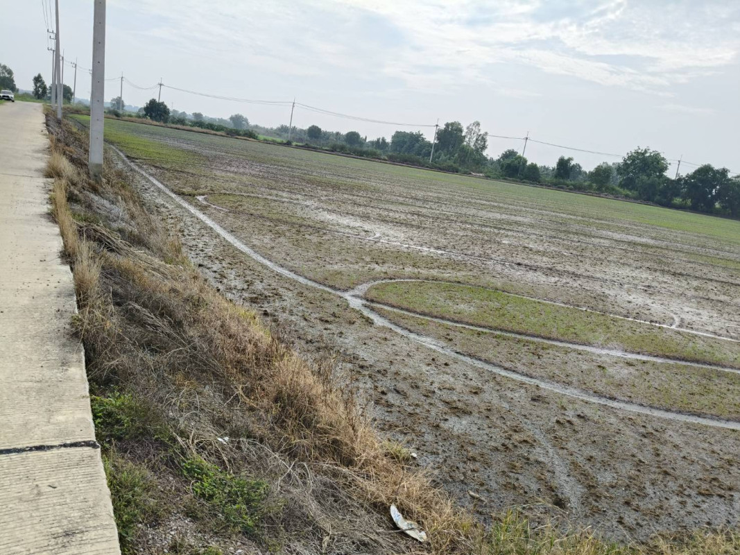 Residential land/lot Phra Nakhon Si Ayutthaya Bang Sai Bang Yitho 5705000