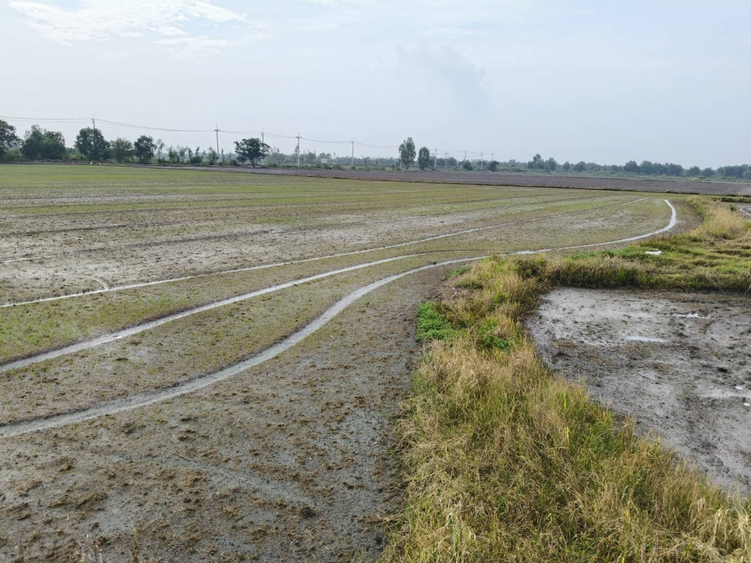 Residential land/lot Phra Nakhon Si Ayutthaya Bang Sai Bang Yitho 5705000