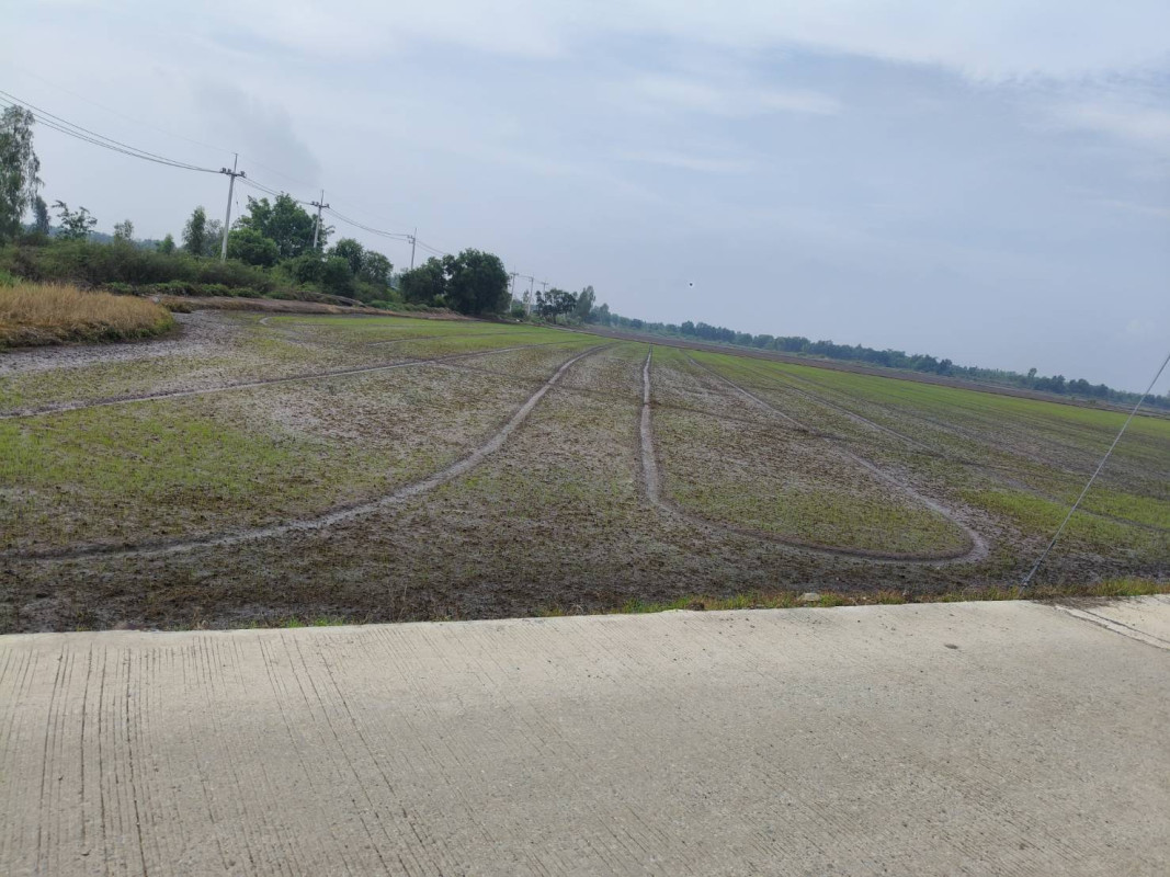 Residential land/lot Phra Nakhon Si Ayutthaya Bang Sai Bang Yitho 5705000