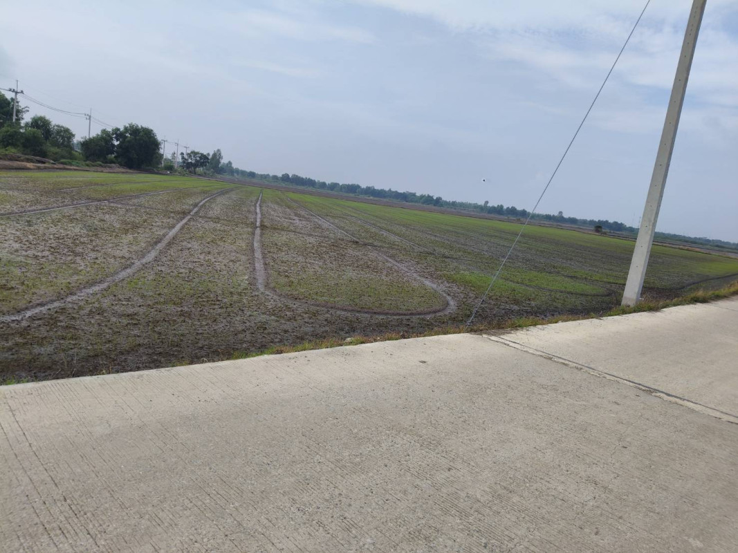 Residential land/lot Phra Nakhon Si Ayutthaya Bang Sai Bang Yitho 5705000