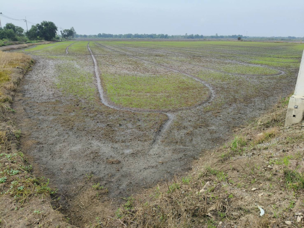 Residential land/lot Phra Nakhon Si Ayutthaya Bang Sai Bang Yitho 5705000