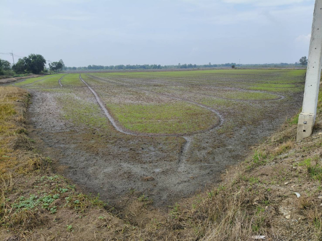 Residential land/lot Phra Nakhon Si Ayutthaya Bang Sai Bang Yitho 5705000