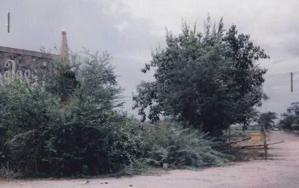 Residential land/lot Phetchaburi Tha Yang Puek Tian 220000