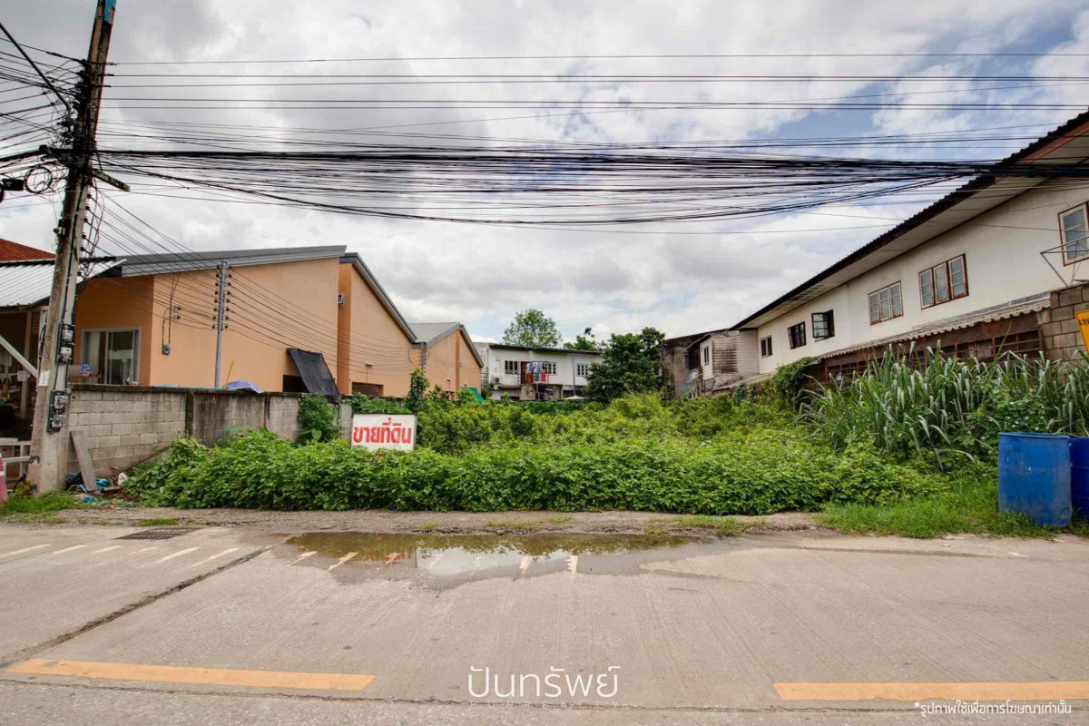 Residential land/lot Chiang Mai Mueang Chiang Mai Pa Tan 4200000