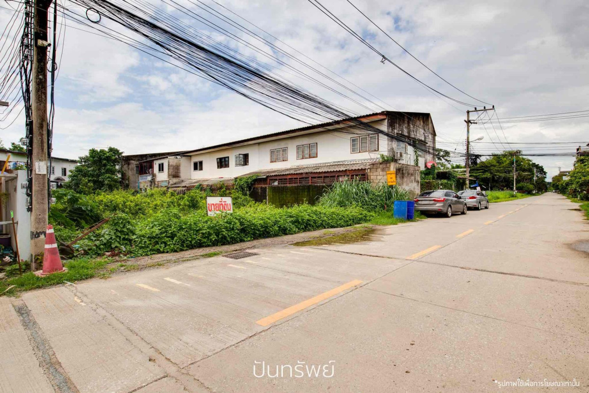 Residential land/lot Chiang Mai Mueang Chiang Mai Pa Tan 4200000