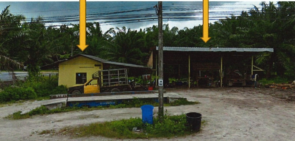 Single house Surat Thani Wiang Sa Ban Song 6885010