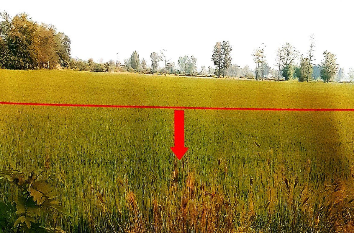 Residential land/lot Sukhothai Si Samrong Ban Rai 255190