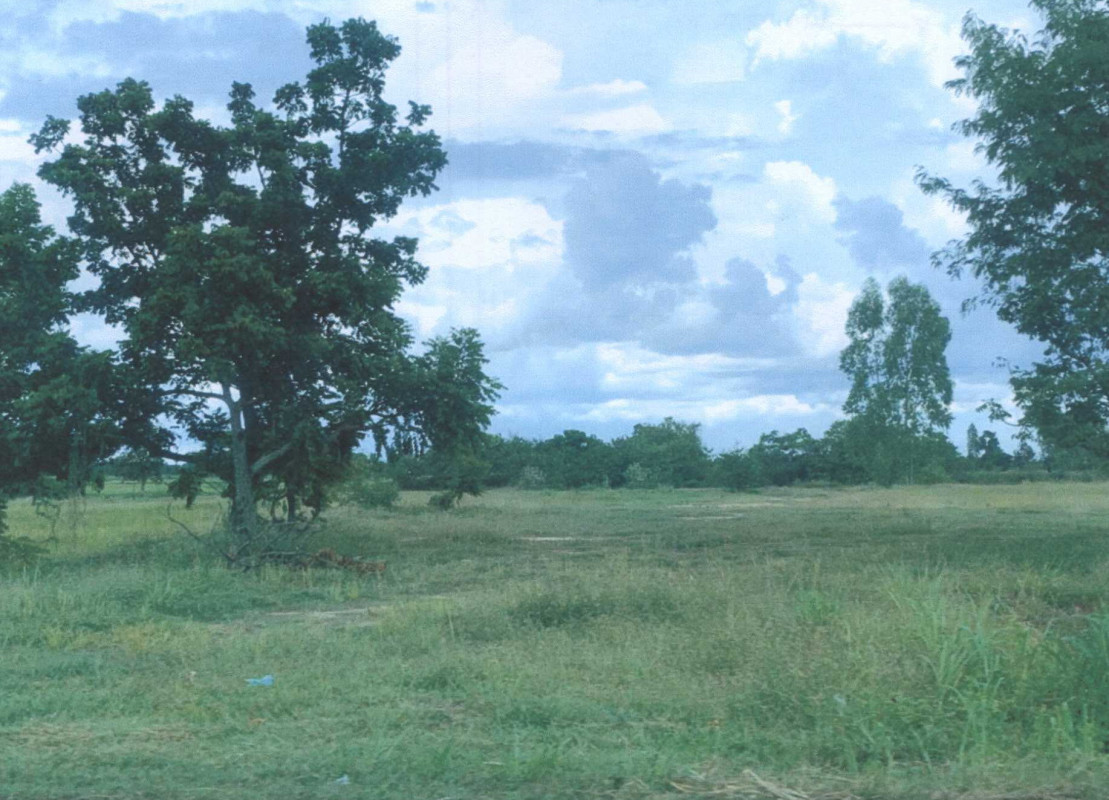 ที่ดินเปล่า มหาสารคาม โกสุมพิสัย เขวาไร่ 965090
