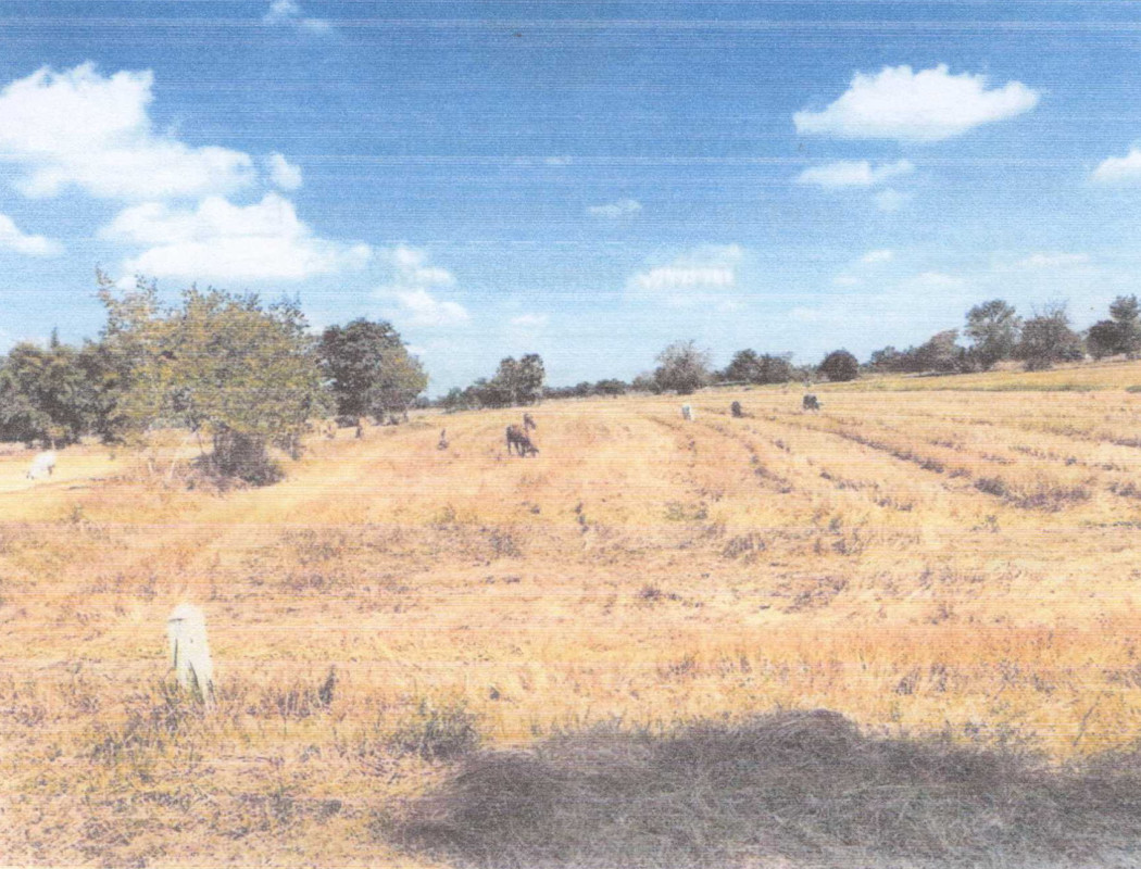 Residential land/lot Maha Sarakham Na Dun Dong Yang 869100