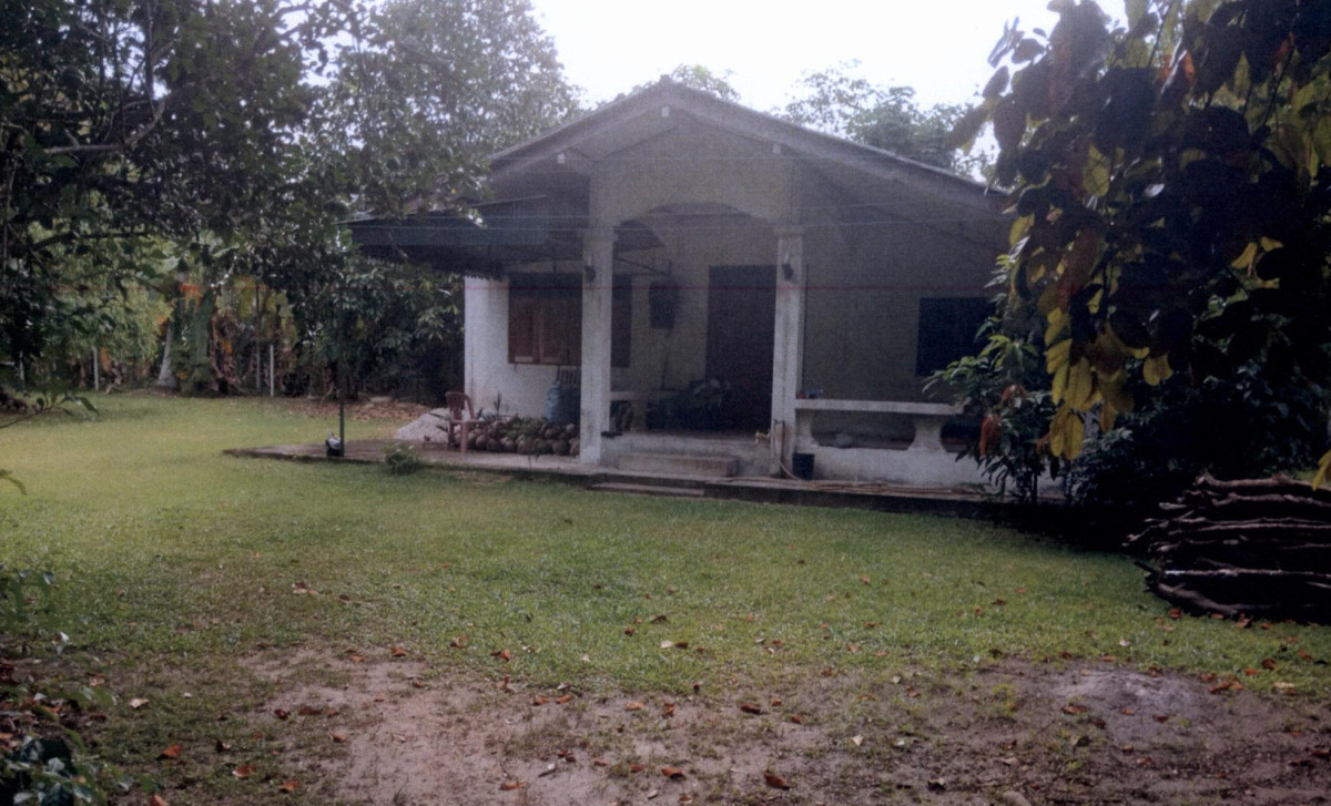 Single house Surat Thani Chaiya Pa We 984080