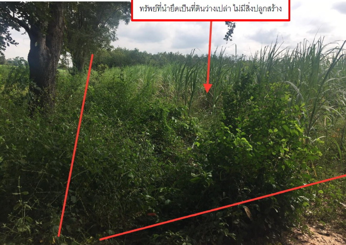 ที่ดินเปล่า บุรีรัมย์ คูเมือง หินเหล็กไฟ 471328