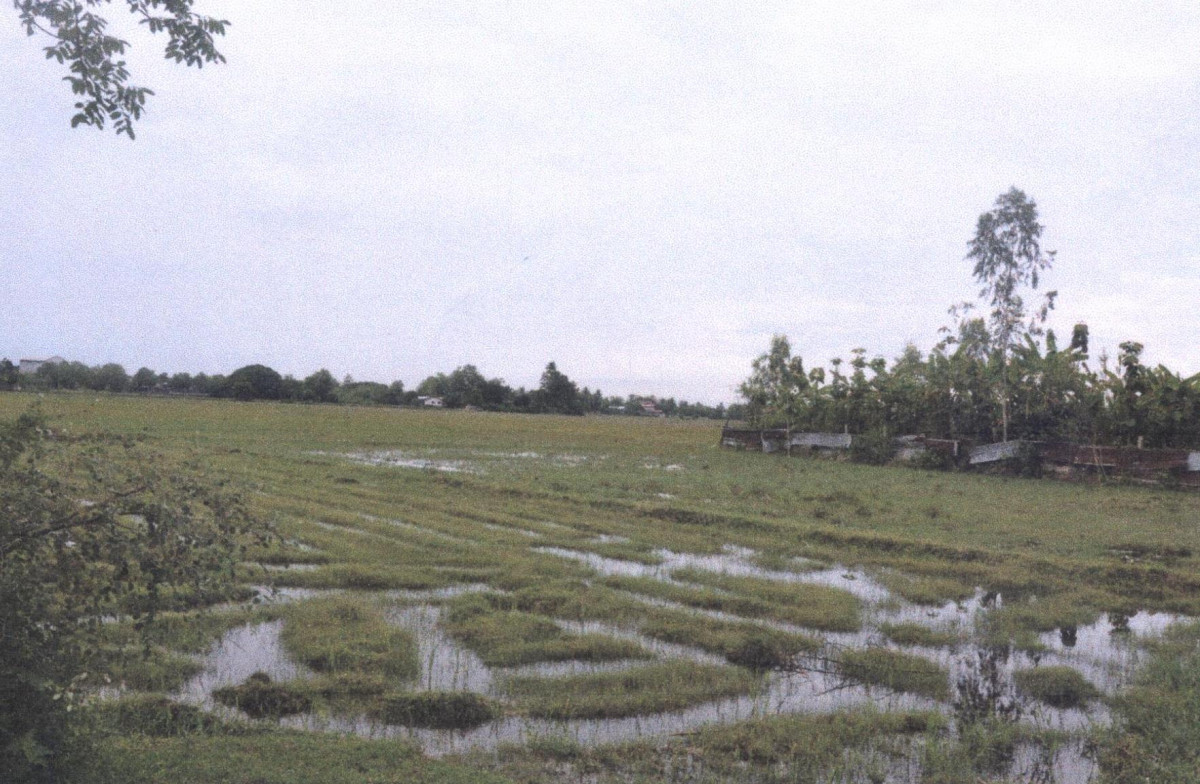 ที่ดินเปล่า แพร่ เมืองแพร่ ทุ่งโฮ้ง 275000