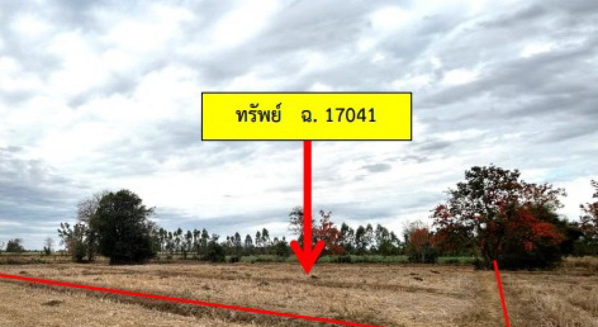ที่ดินเปล่า กาฬสินธุ์ นามน ยอดแกง 605000