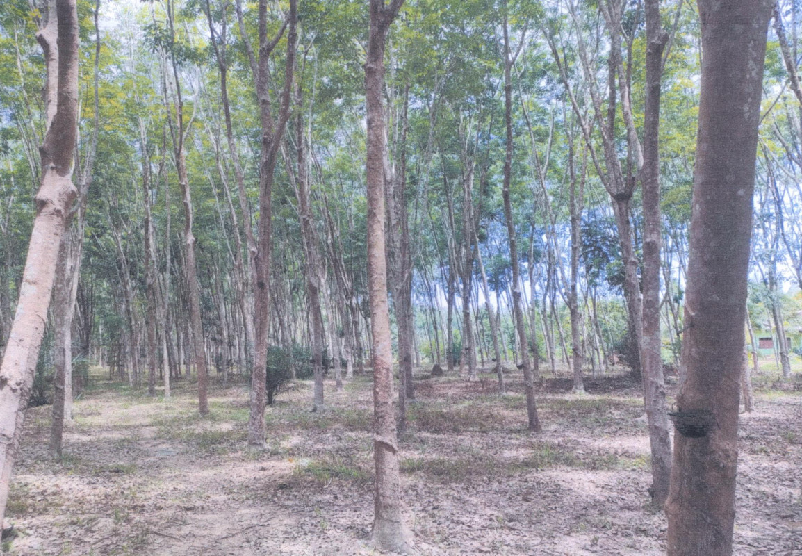 Residential land/lot Nakhon Si Thammarat Khanom Khuan Thong 1717800