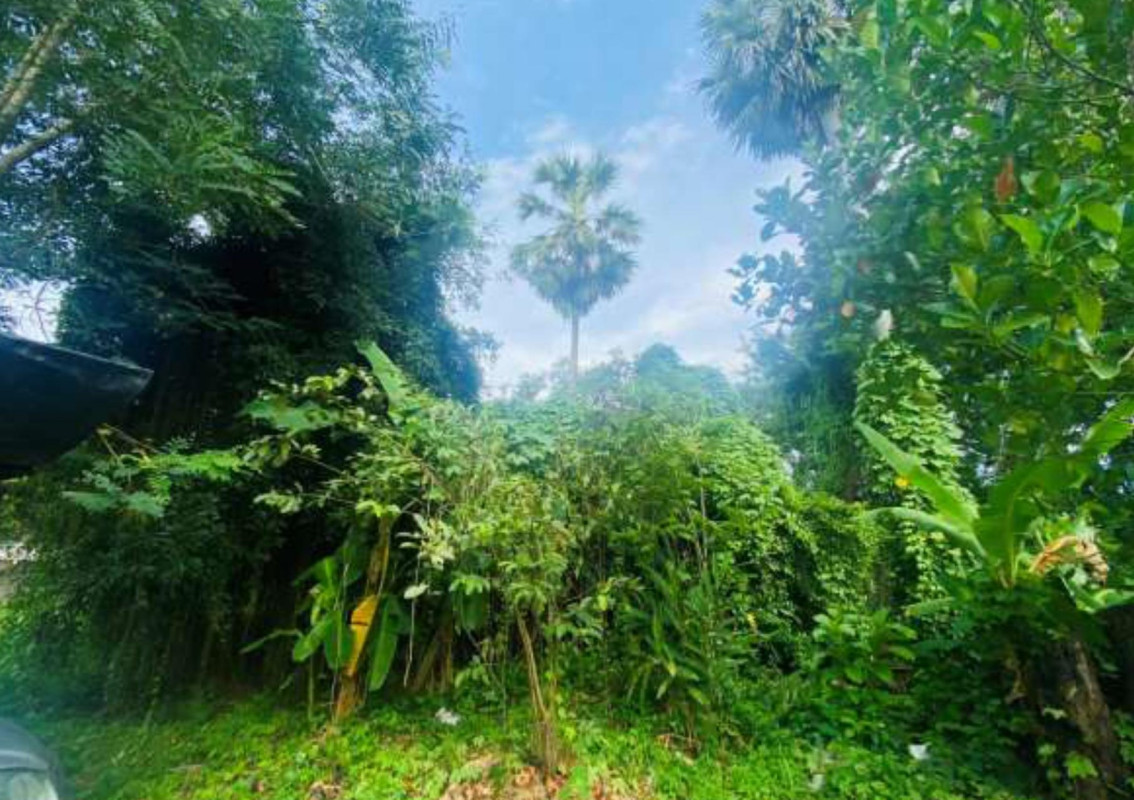 Residential land/lot Surat Thani Chaiya Talat Chaiya 277200