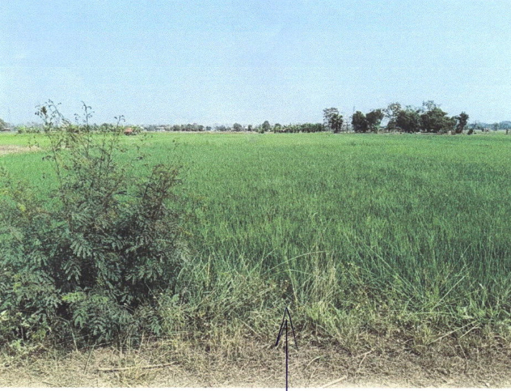 ที่ดินเปล่า แพร่ เมืองแพร่ ป่าแมต 576840