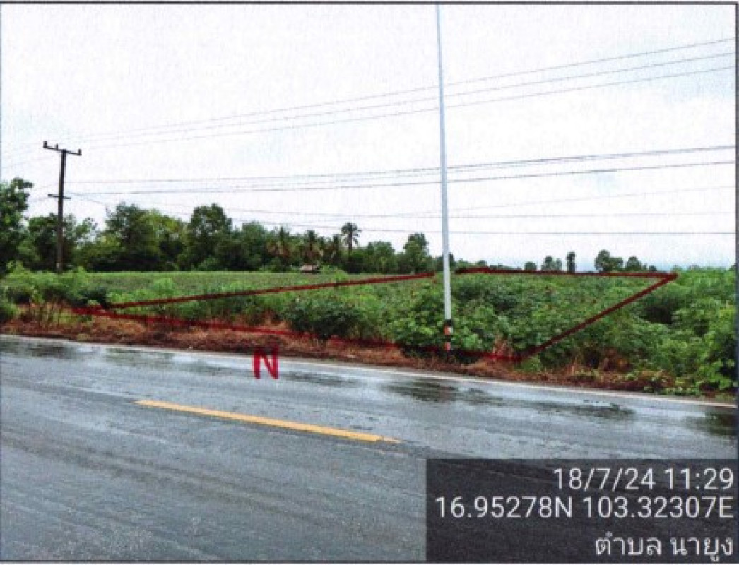 ที่ดินเปล่า อุดรธานี ศรีธาตุ นายูง 729600