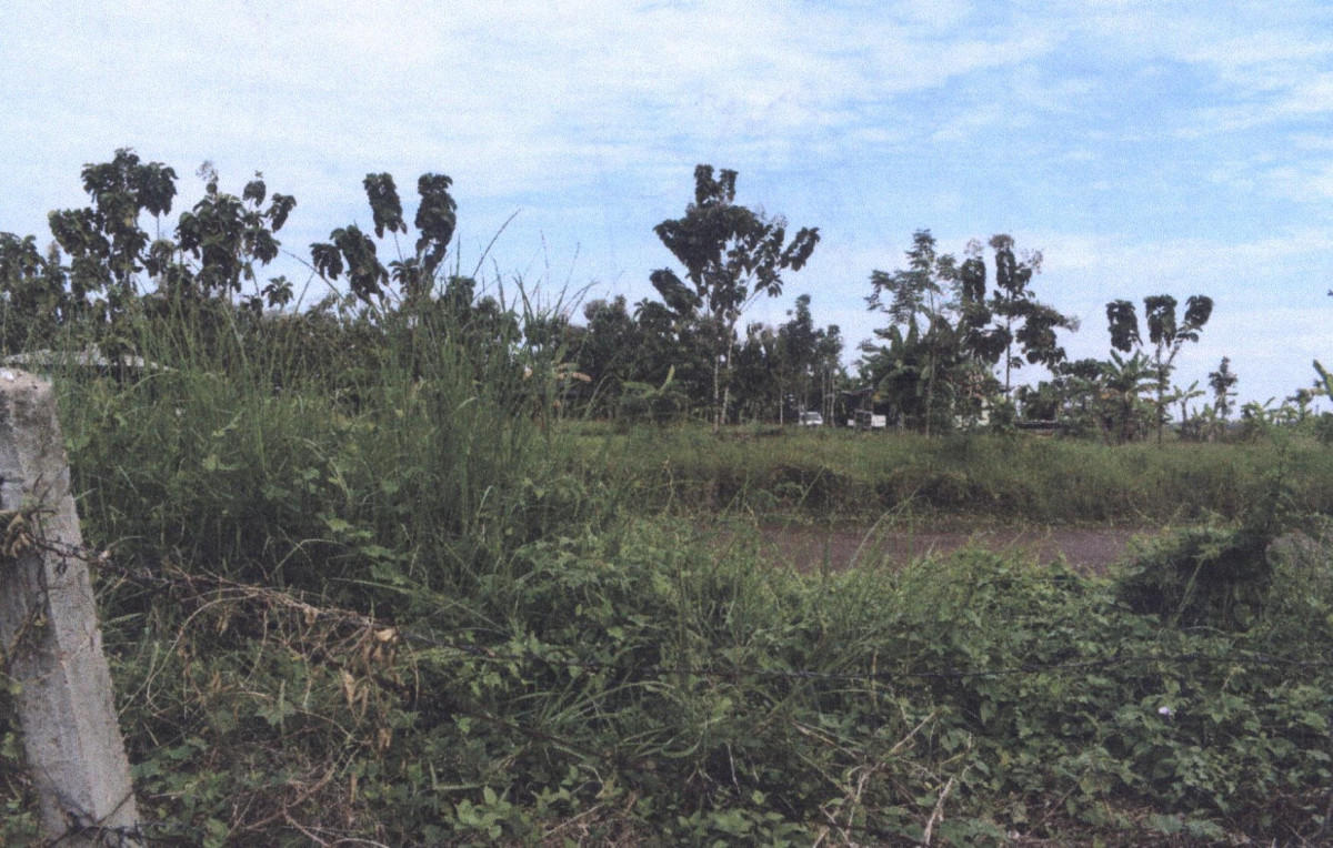 Residential land/lot Phrae Mueang Phrae Thung Kwao 122850