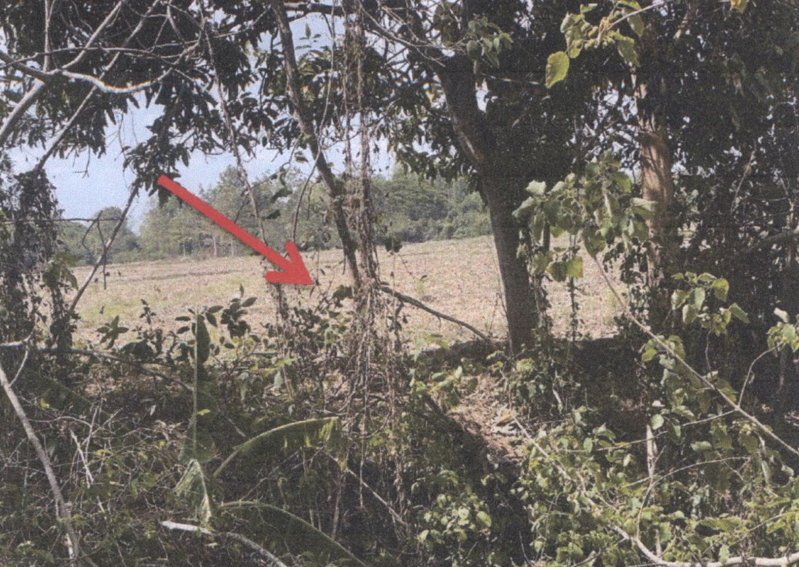 Residential land/lot Phrae Nong Muang Khai Tamnak Tham 172650