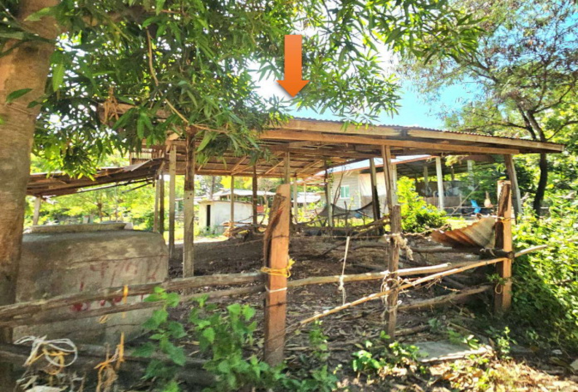 บ้านเดี่ยว มหาสารคาม พยัคฆภูมิพิสัย ลานสะแก 84400