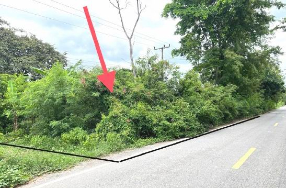 Residential land/lot Khon Kaen Non Sila Nong Pla Mo 1343370