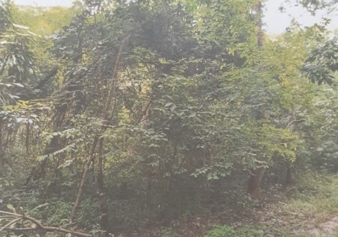 Residential land/lot Ubon Ratchathani Det Udom Mueang Det 92400