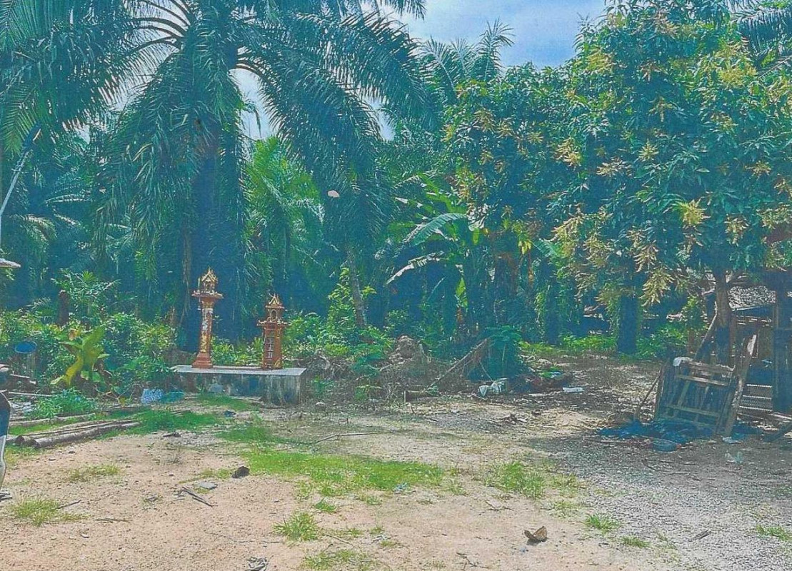 Residential land/lot Surat Thani Chaiya Samet 2764485