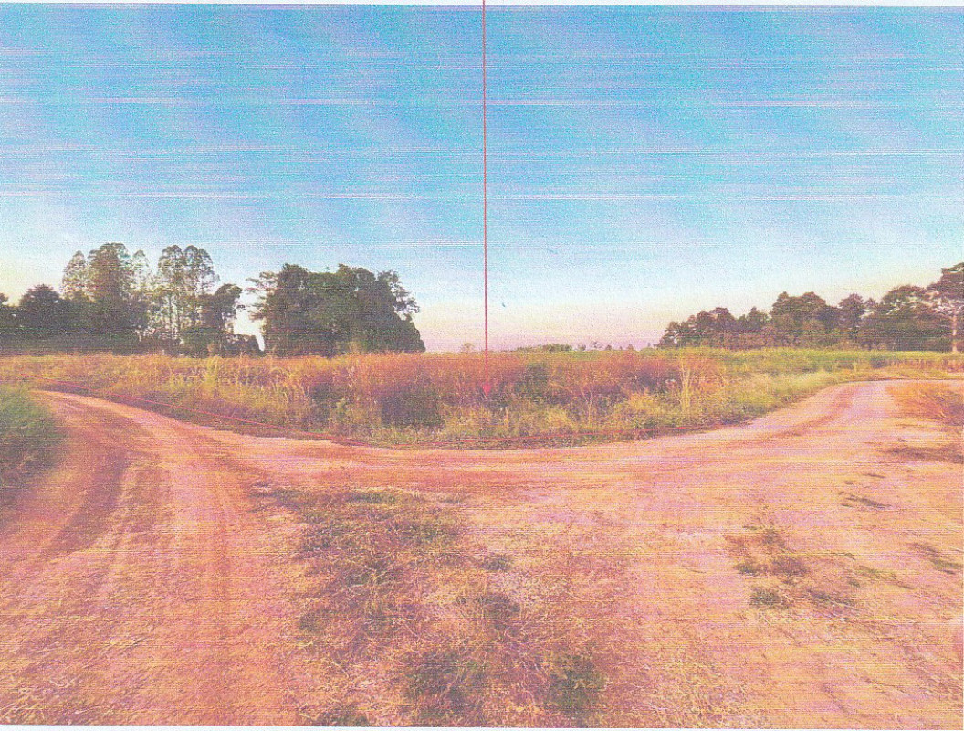 Residential land/lot Sukhothai Khiri Mat Nong Krading 85800