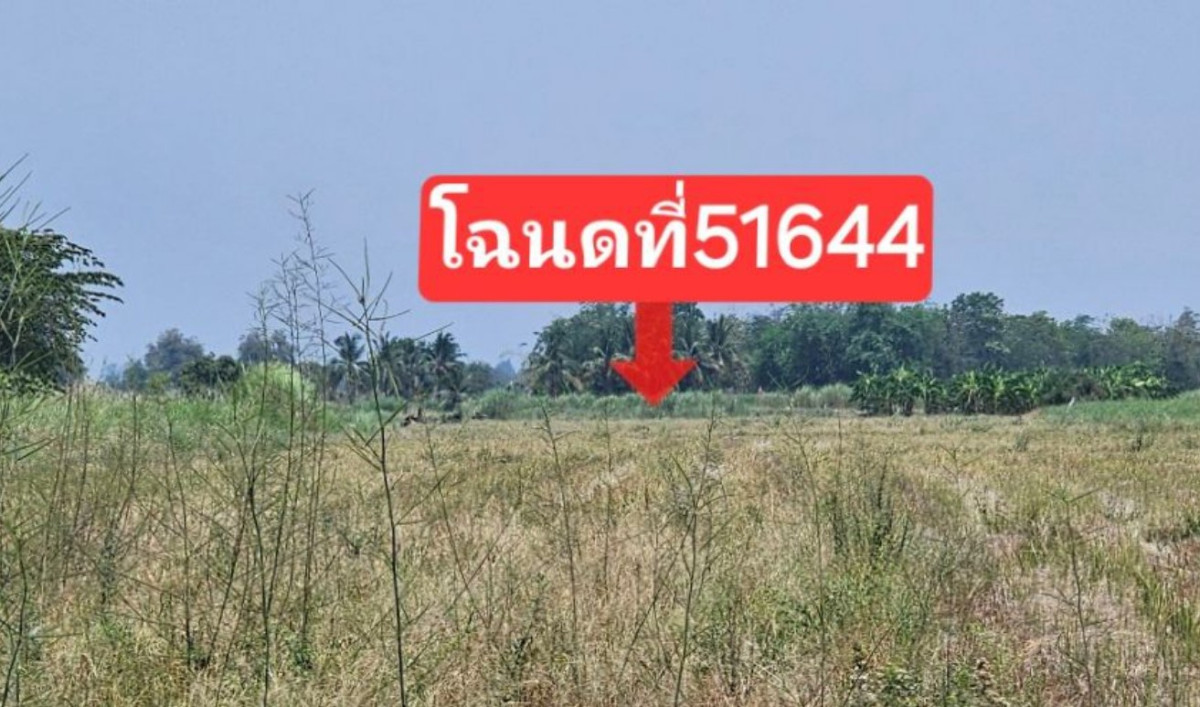 Residential land/lot Sukhothai Mueang Sukhothai Yang Sai 800072