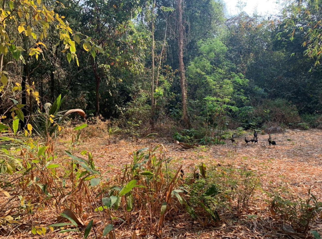 Residential land/lot Maha Sarakham Mueang Maha Sarakham Bua Kho 21300