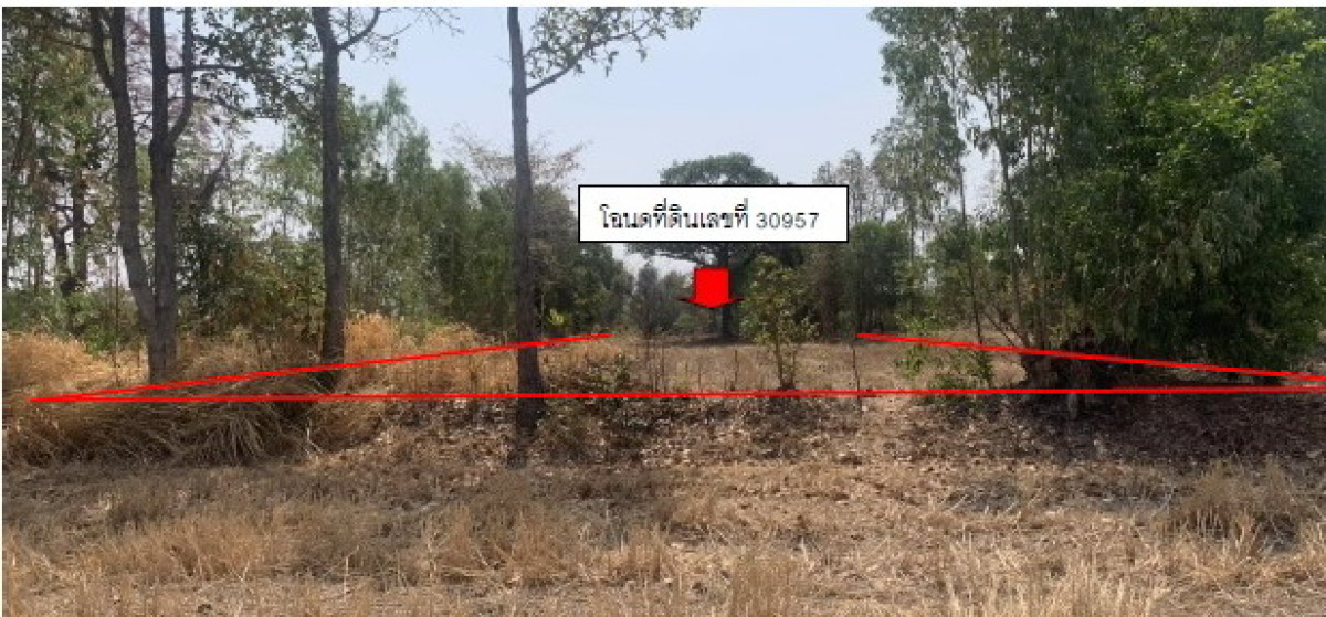 ที่ดินเปล่า บุรีรัมย์ บ้านใหม่ไชยพจน์ กู่สวนแตง 172680
