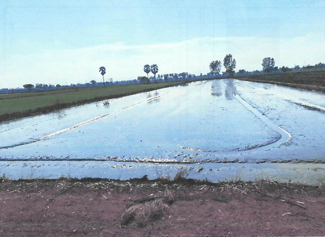 Residential land/lot Chai Nat Sankhaburi Huai Krot Phatthana 355530