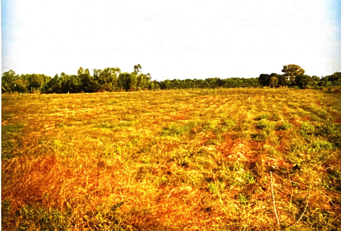 Residential land/lot Maha Sarakham Kosum Phisai Phaeng 860000