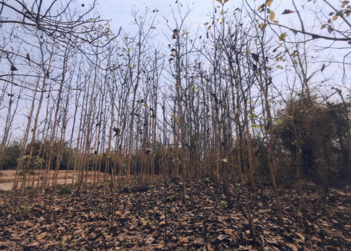 Residential land/lot Phrae Wang Chin Mae Koeng 473400
