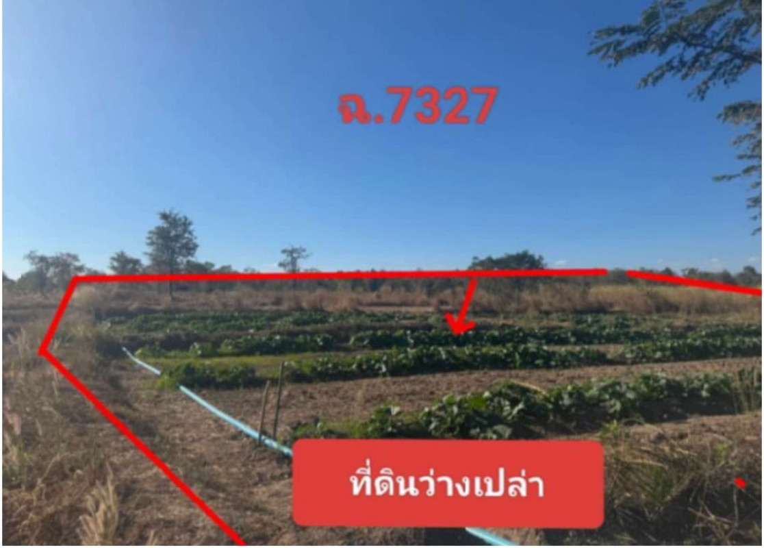 ที่ดินเปล่า สกลนคร วานรนิวาส ธาตุ 1250860