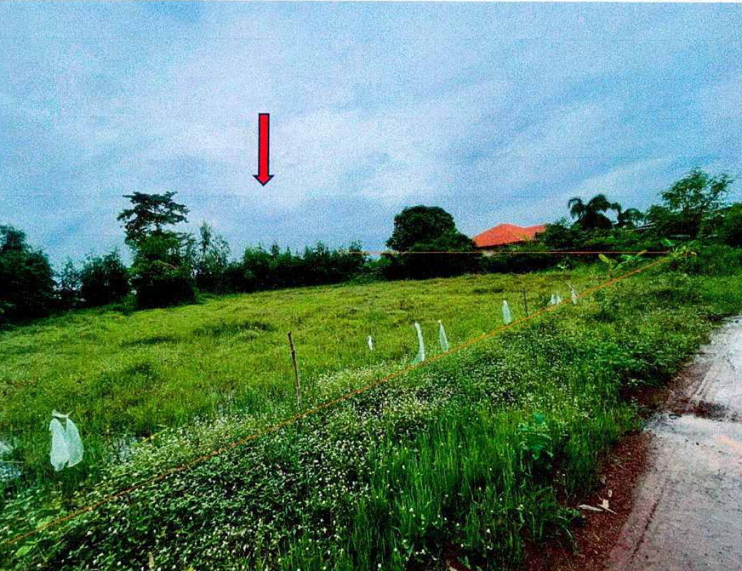 Residential land/lot Nong Khai Mueang Nong Khai Wat That 320000