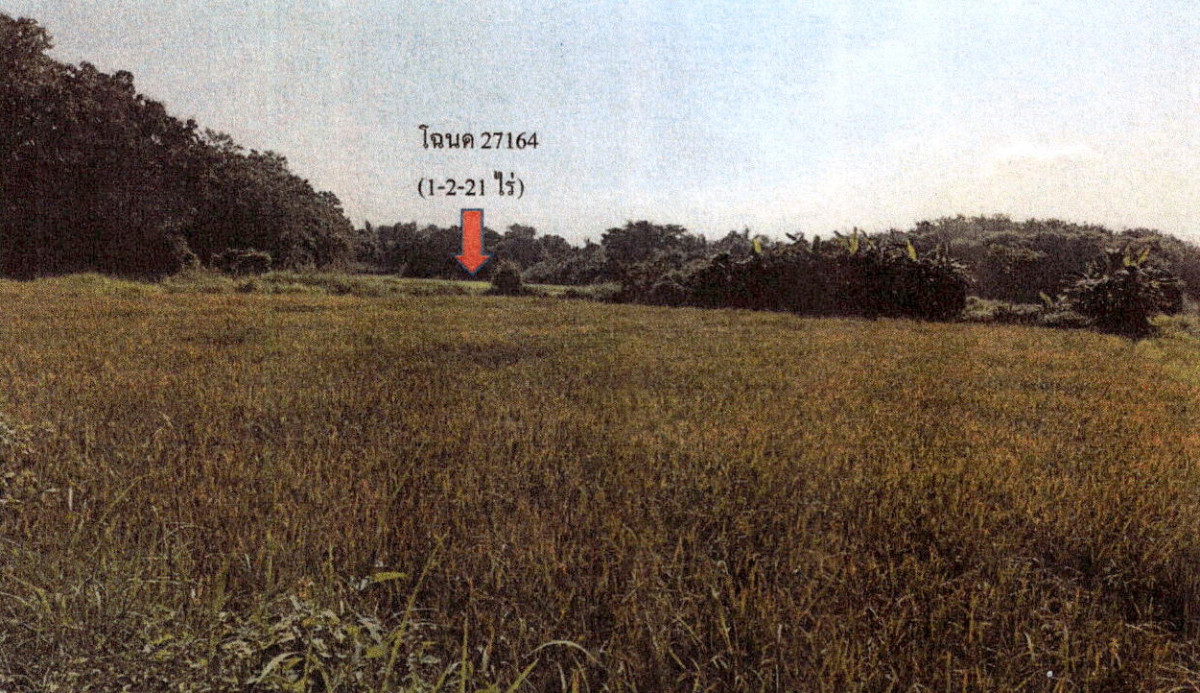 ที่ดินเปล่า ลำปาง เกาะคา นาแส่ง 111780