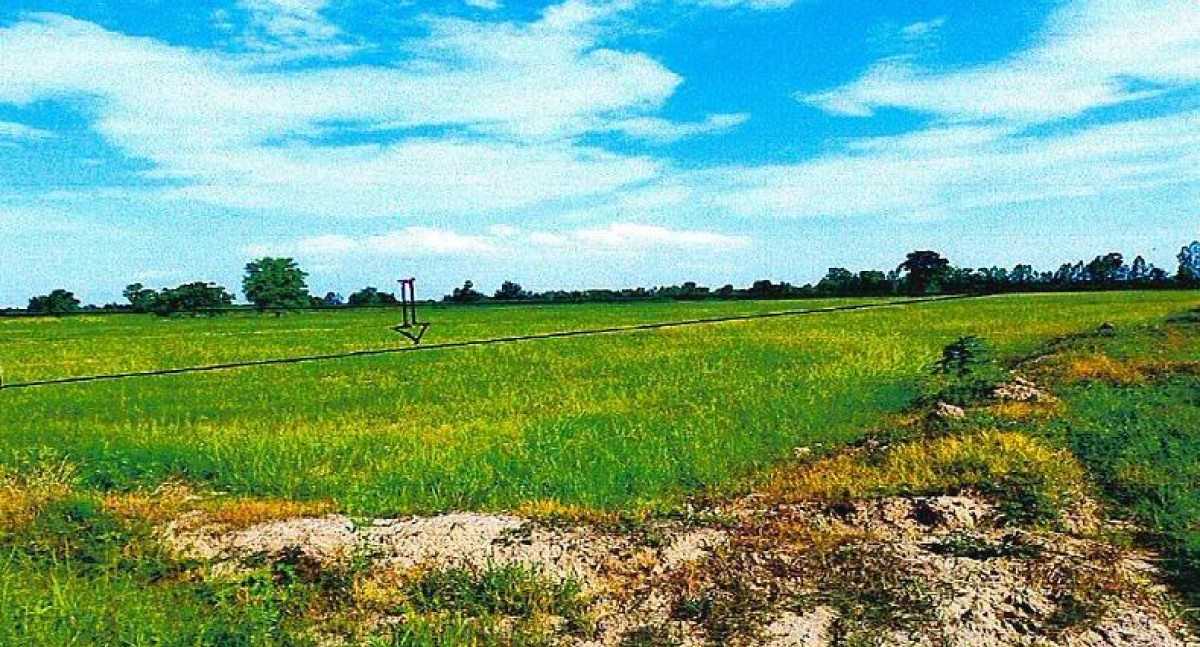 Residential land/lot Kamphaeng Phet Khlong Khlung Wang Sai 1240590