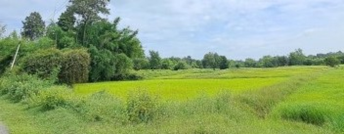 Residential land/lot Maha Sarakham Mueang Maha Sarakham Nong No 520500