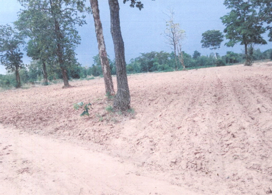Residential land/lot Kalasin Don Chan Sa-At Chai Si 950000