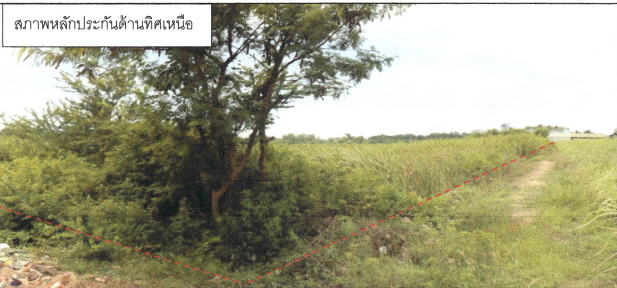 Residential land/lot Nakhon Pathom Kamphaeng Saen Thung Kraphang Hom 3984400