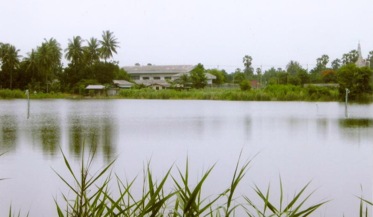 ที่ดินเปล่า นครปฐม นครชัยศรี วัดละมุด 471000